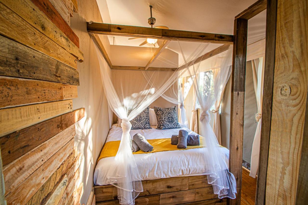 Mountain View Safari Lodge โฮดสปรูท ภายนอก รูปภาพ