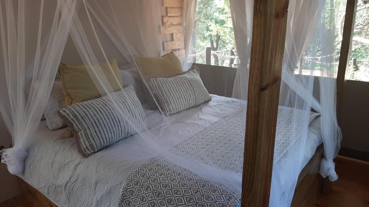 Mountain View Safari Lodge โฮดสปรูท ภายนอก รูปภาพ